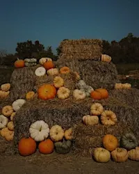 Greenvale Vineyards’ 27th Annual Harvest Festival