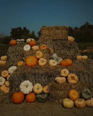 Greenvale Vineyards’ 27th Annual Harvest Festival