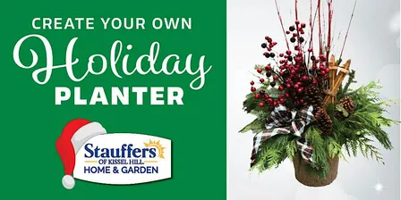 Stauffers of Kissel Hill Dover - Create Your Own Holiday Planter