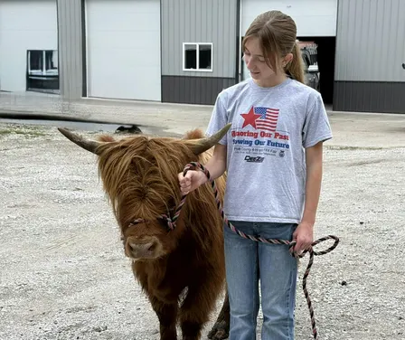 Coffee and Cows