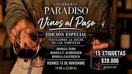 Vinos al Paso · Edición Especial | Noche de las Vinotecas