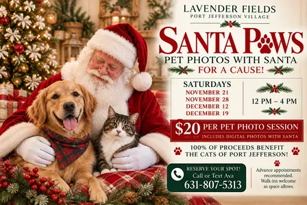 Santa Paws at Lavender Fields