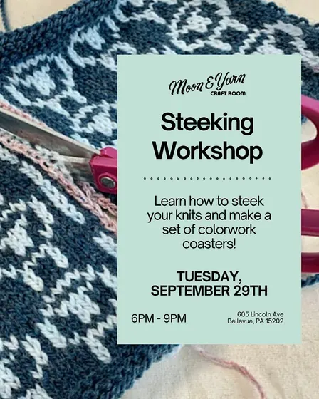 Colorwork Steeking Coasters Workshop