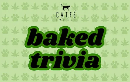 Baked Trivia