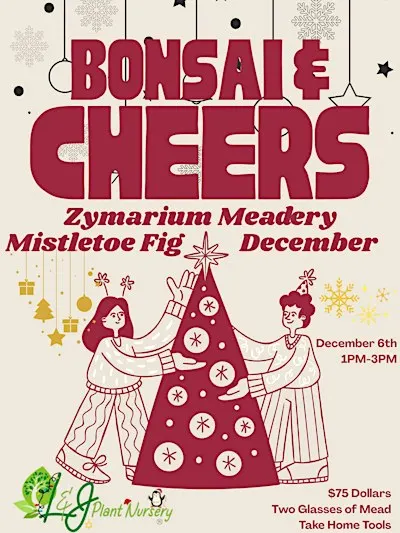 Bonsai & Cheers at Zymarium Meadery | Mistletoe Fig Christmas Bonsai Class