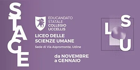Liceo delle Scienze Umane - sede via Aspromonte 1/e - STAGE 2026