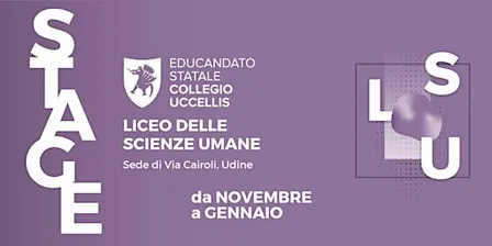 Liceo delle Scienze Umane - sede Via Cairoli - STAGE 2026