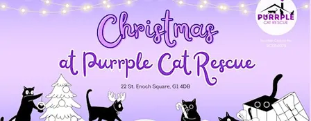 Christmas Sing-Along with Cats!