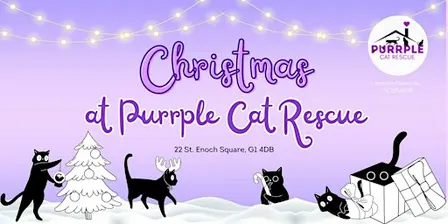 Christmas Sing-Along with Cats!