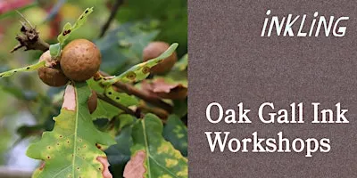 Oak Gall Ink Workshop