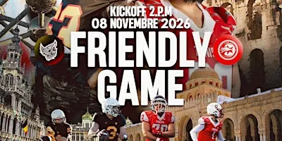 INTERNATIONAL FRIENDLY GAME : BELGIUM - TUNISIA