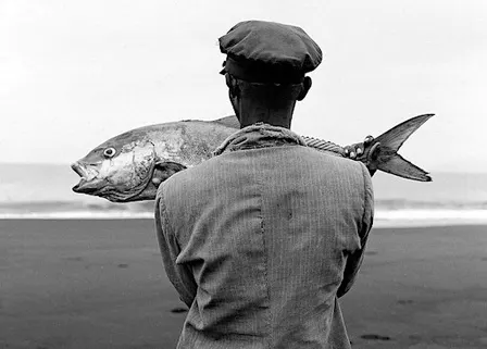 Photography Exhibition Tour - Emancipations @ Foto Colectania