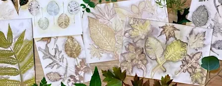 Printmaking, Banner Workshops For the CoLab Story Garden