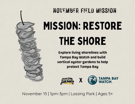 November Field Mission: Tampa Bay