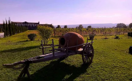 Reise nach Georgien