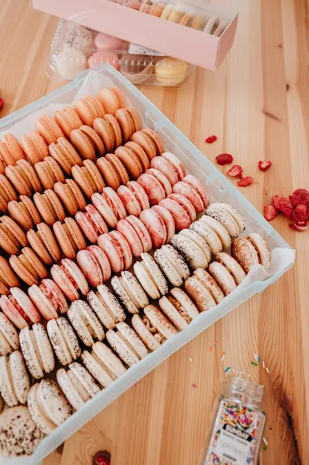 Macaron baking class
