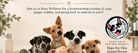 Puppy Yoga and Adoption Event