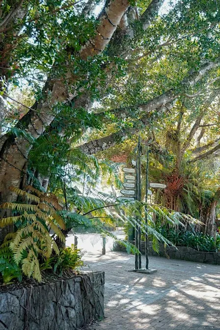 Mareeba Shire Tourism Networking Event and AGM