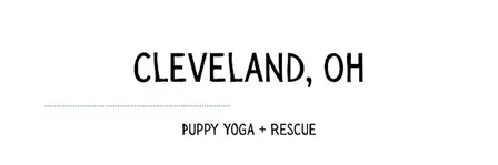 Puppy Yoga at Yoga Room Cleveland — November 15