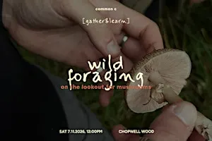Wild Foraging: on the lookout for mushrooms