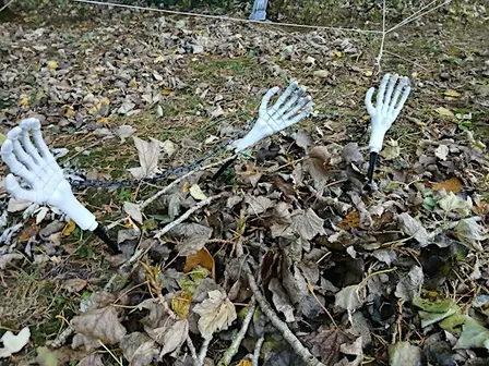 The Spooky Farm, Graveyard & Wound Clinic