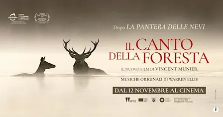 Proiezione film in anteprima assoluta Il canto della foresta