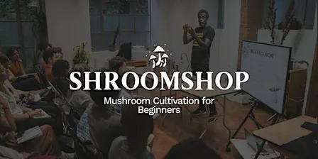 The Shroomshop: Mushroom Cultivation for Beginners