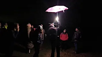 Creaduriaid yn y Nos: Taith | Craig-y-nos | Creatures of the night: Walk
