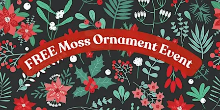 FREE Moss Ornament Event