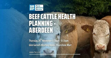 Beef Cattle Health Planning - Aberdeen