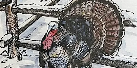 Turkey Ink and Watercolor | Cheryl Bielli, instructor
