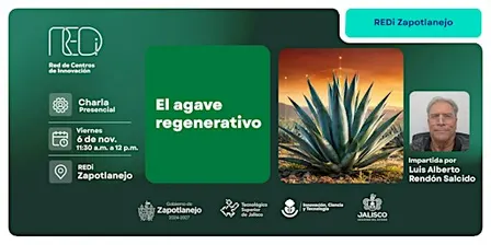 El Agave regenerativo