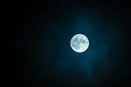 Winter Solstice Night Walk