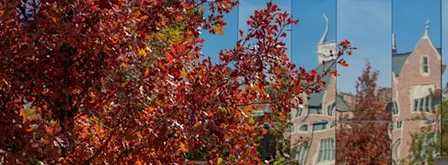 Kemper Refresh: Therapeutic Horticulture