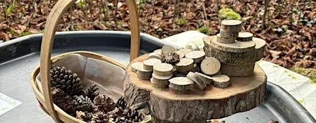 Thurs PM Saplings, home ed Forest School at Westonbirt Arb Spring 2027