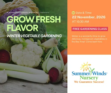 Grow Fresh Flavor: Winter Vegetable Gardening - Campbell