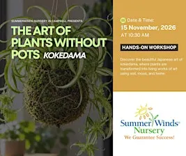 Kokedama: The Art of Plants Without Pots - Campbell