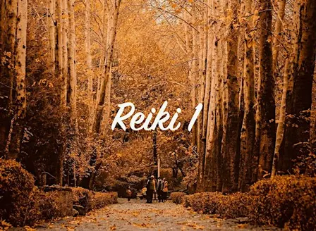Reiki 1 Certification & Attunement