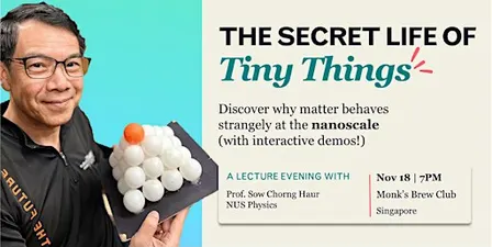 Discover our Strange Nanoscale World over Drinks! An evening with Prof. Sow