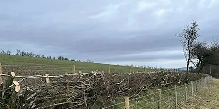 Nature Reserve Work Party - Bodenham - Fencing