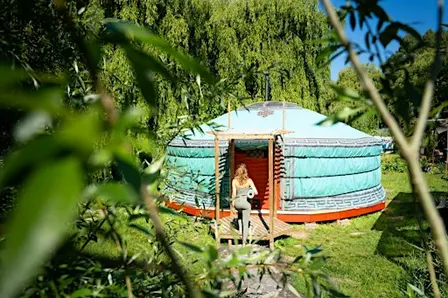 Yurt Dagretreat: cacao, yin yoga en sound healing in Rotterdam