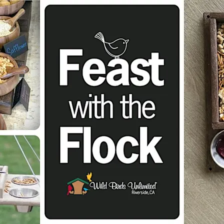 Feast with the Flock