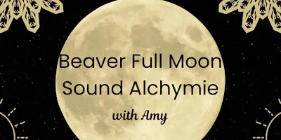 Beaver Full Moon Sound Alchymie