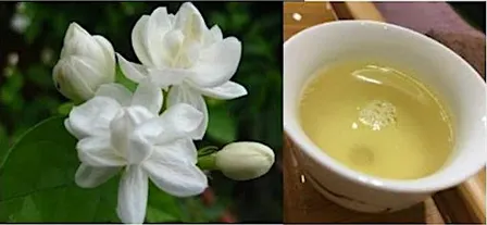 Traditional Jasmine Tea Tasting with Teamaster May|傳統茉莉花茶品鑑–Kwun Tong 5 Nov