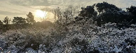 Youth Action Day - Volunteer with Heathlands Reunited at Ludshott Common
