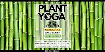 Plants, Yoga & Beer - Lucky Bamboo Edition - Bierstadt Lagerhaus