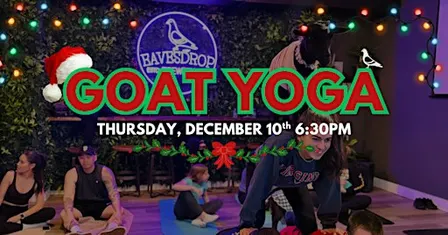 Goat Yoga: Christmas Edition!