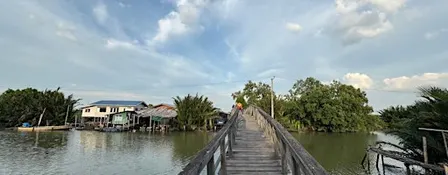 Bangkok Walk/Run Adventure