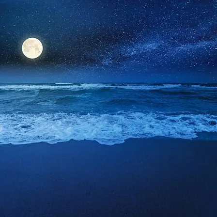 Full Moon Meditation Circle