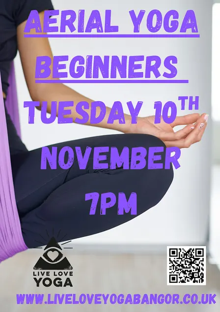 Aerial Yoga Beginners